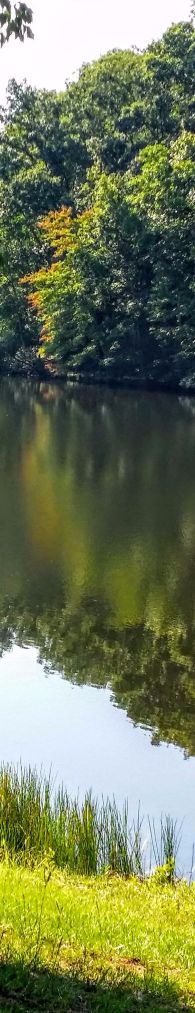 20160731_094701 (1) (1) (1).jpg