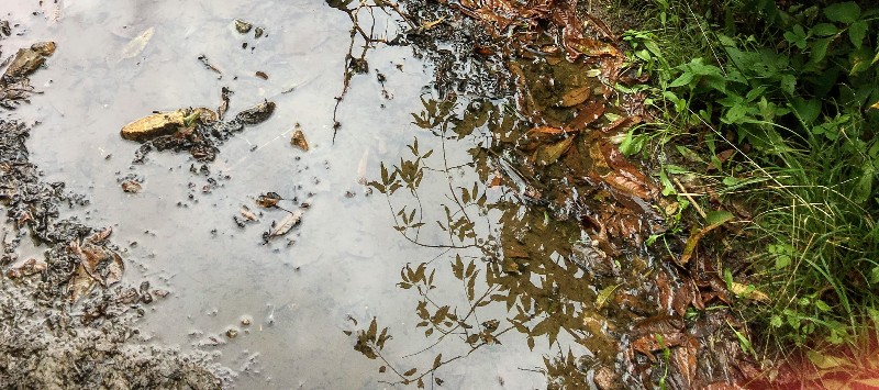 IMG_3062 - Edited.jpg