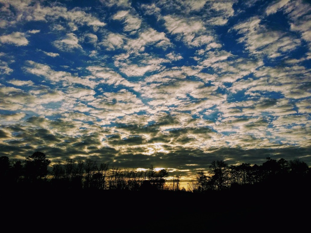 20161221_165331 (2) (1) (1).jpg