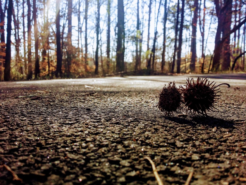 20170214_104123 (1) (1).jpg