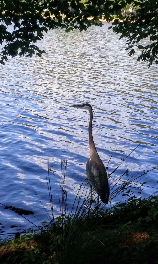 20160523_171808 (1) (1).jpg