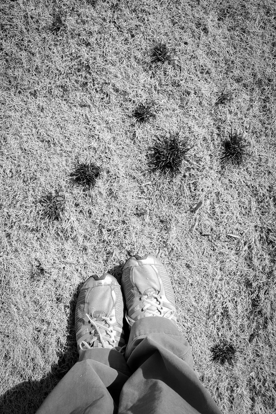 2016-02-14 10.32.20.jpg