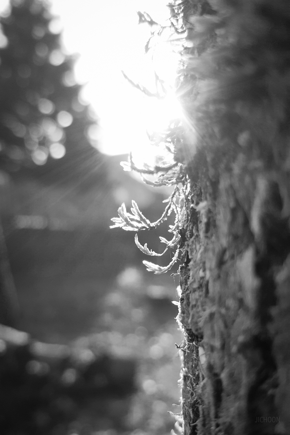 2016-02-14 09.12.27.jpg