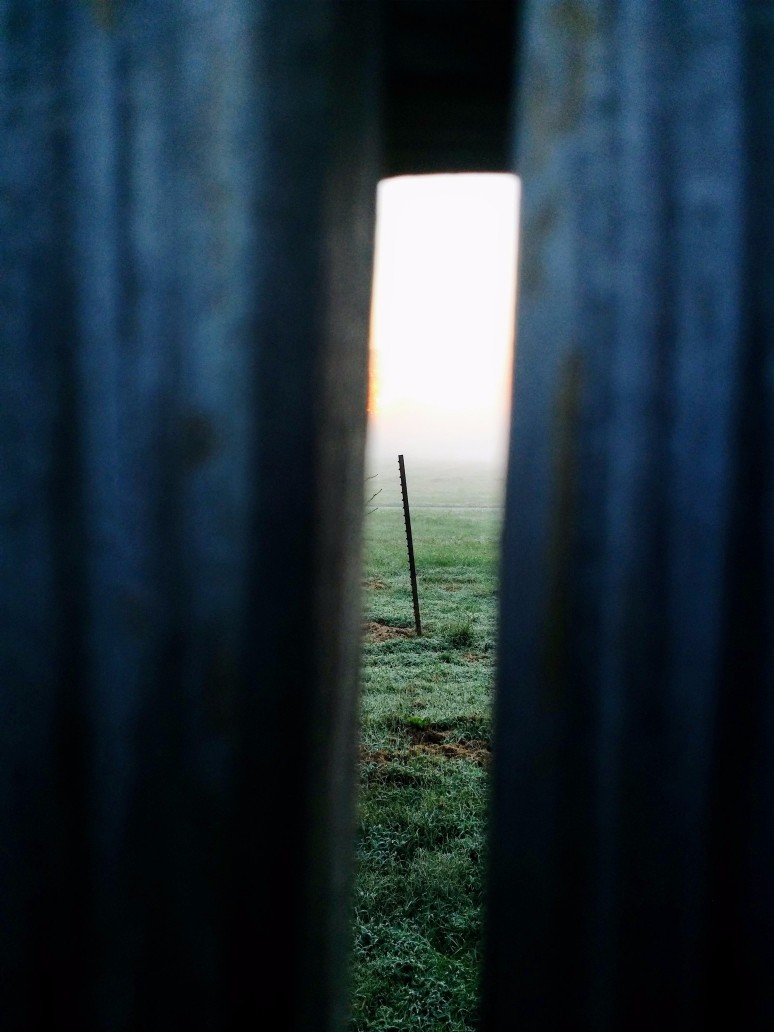 20160929_075039 (1) (1).jpg