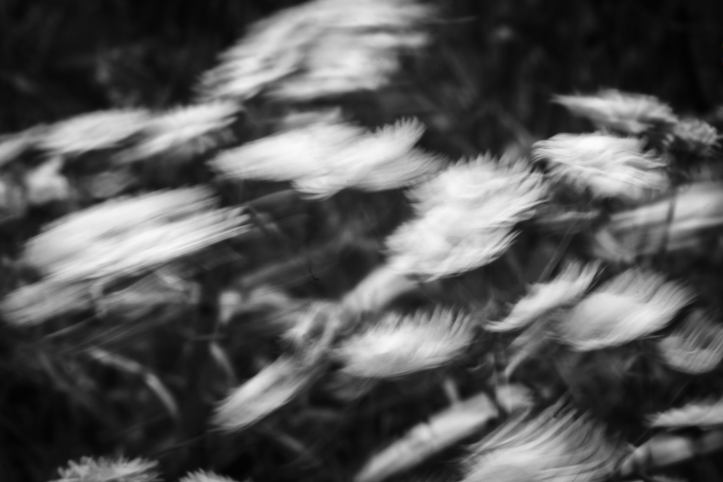 제목 없음-0632-Edit.jpg