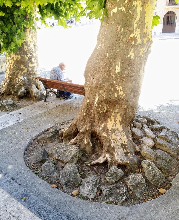 20170713_120551 - Edited.jpg