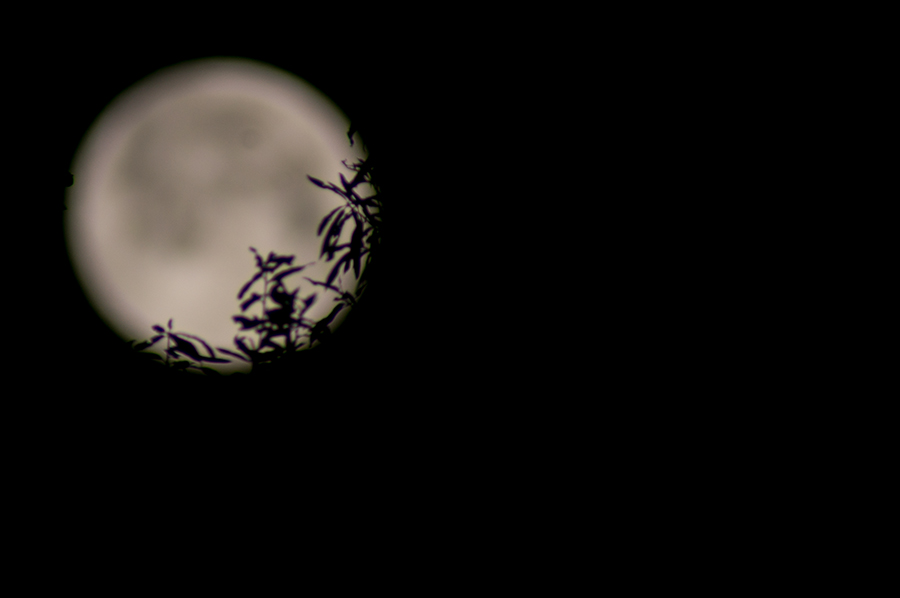 FullMoon2.jpg