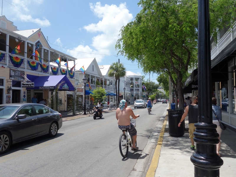 DSC01383 (800x600).jpg