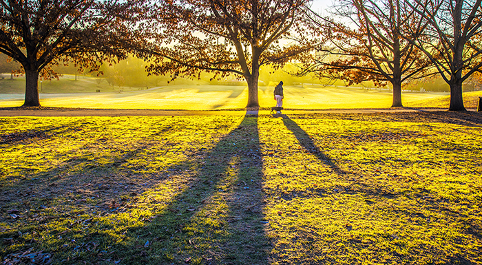 1-25-15 piedmont park_6765.JPG