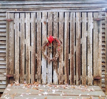 20161205_121936 (1) (1) (1).jpg