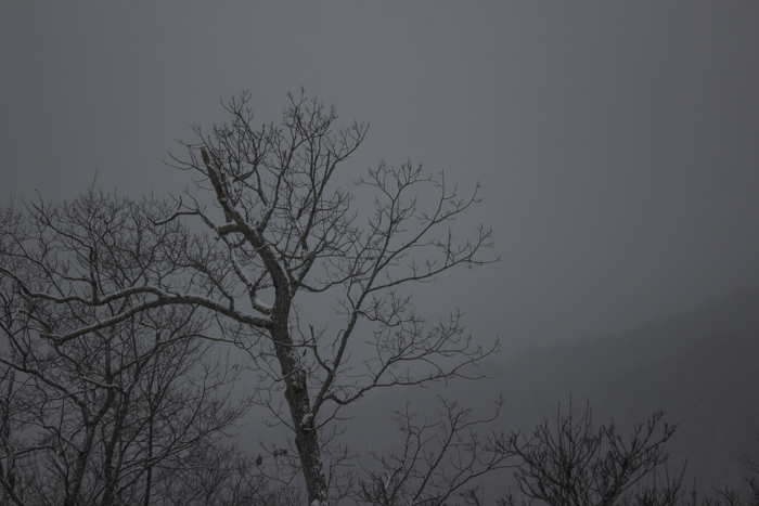 the day snowed-6770.jpg