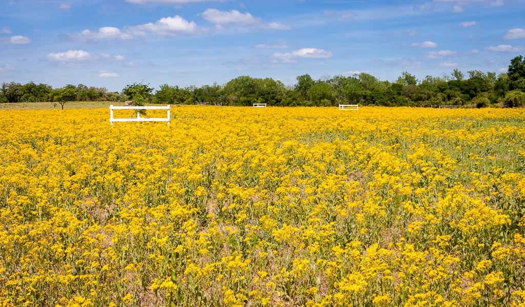제목 없음-0637.jpg