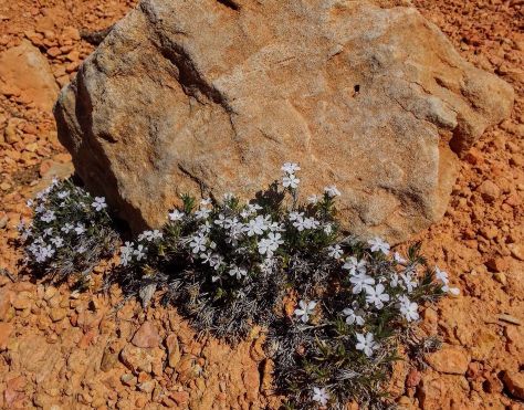 20160602_110255 (1) (1) (1).jpg