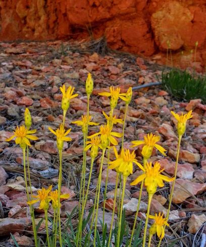 20160602_110600-1-1 (1) (1).jpg