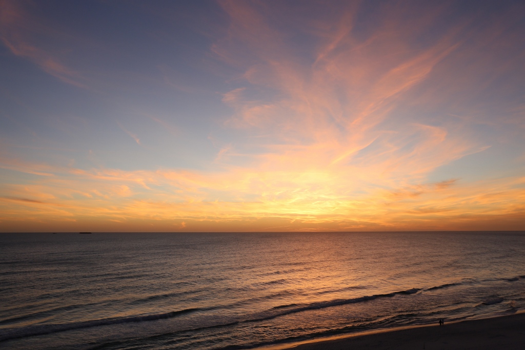 _MG_1015 (1024x683).jpg