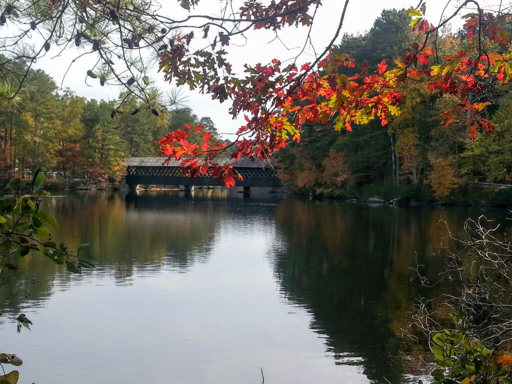 20141108_142236 (1).jpg