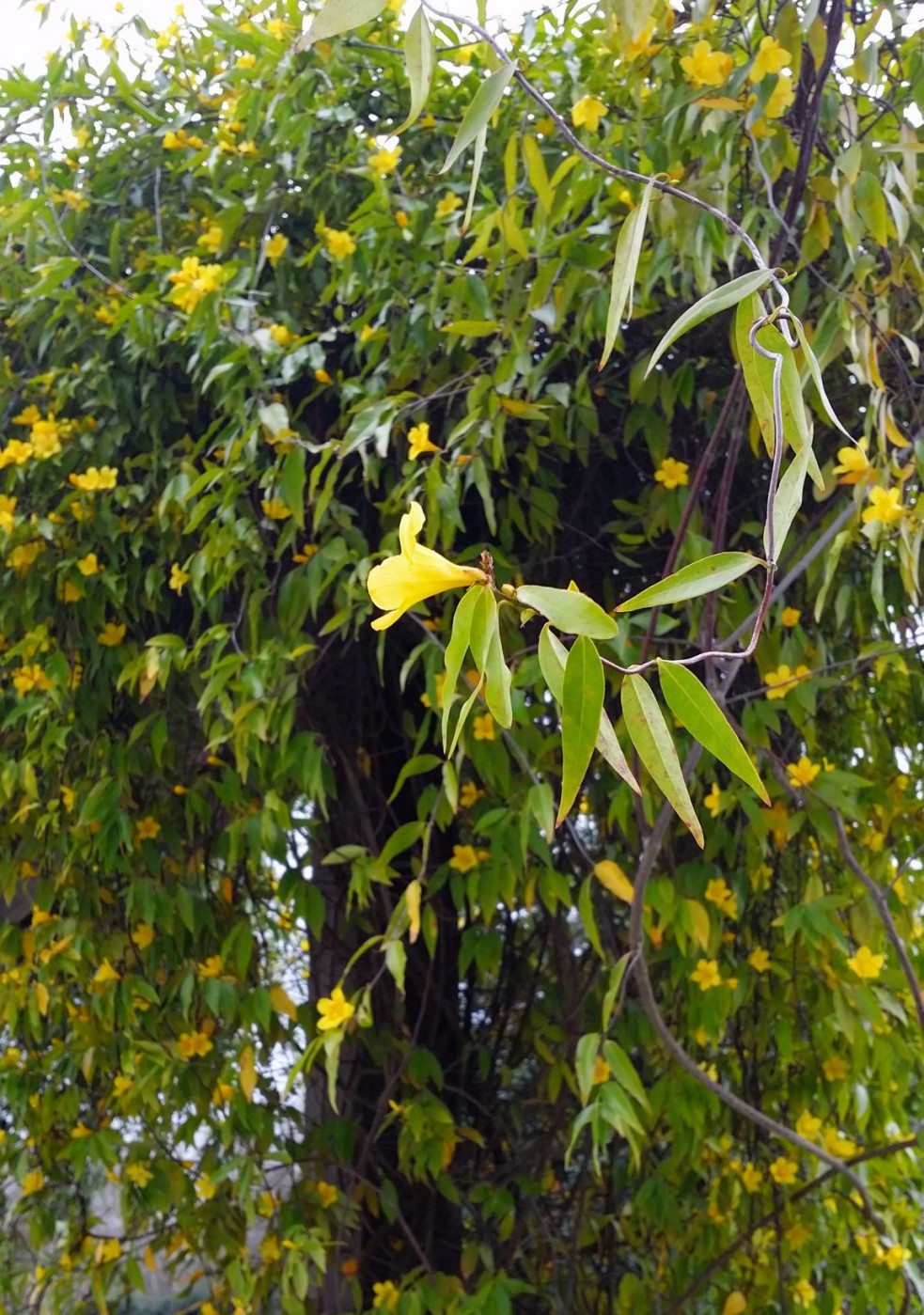 20160319_115347 (1).jpg