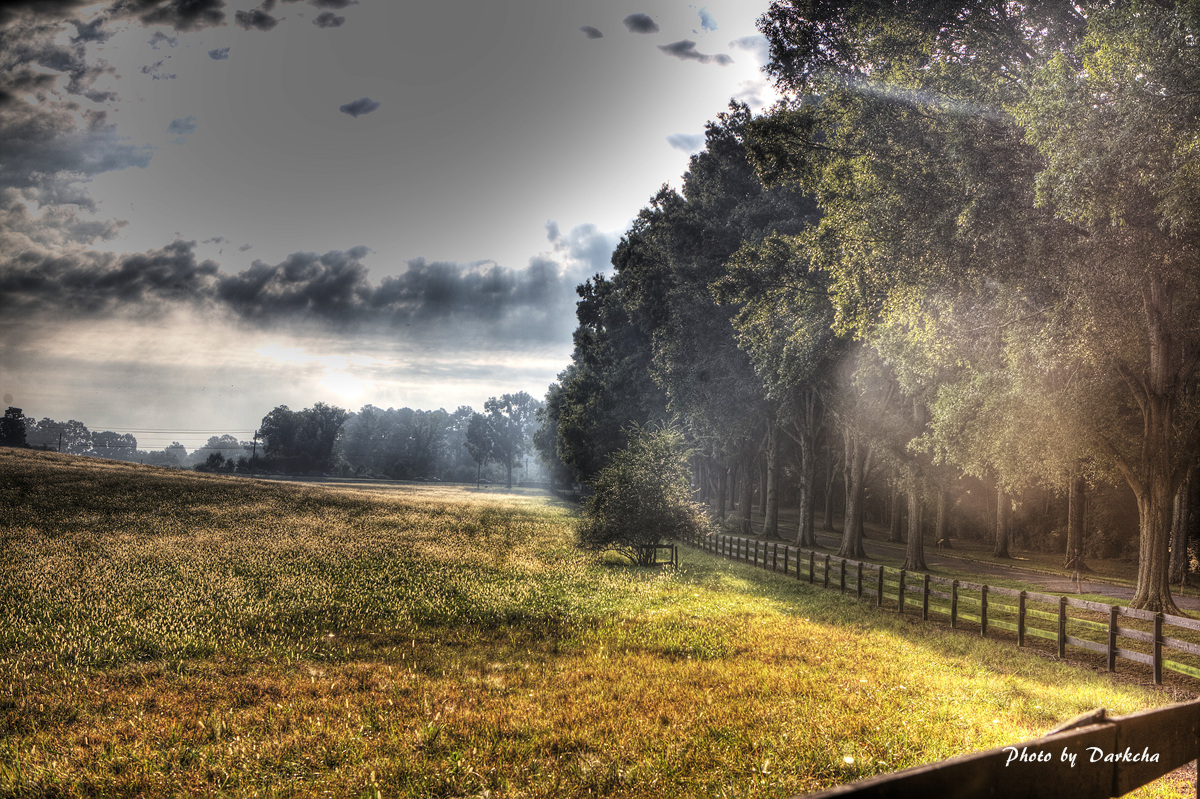 IMG_4261And9more_tonemapped copy.jpg