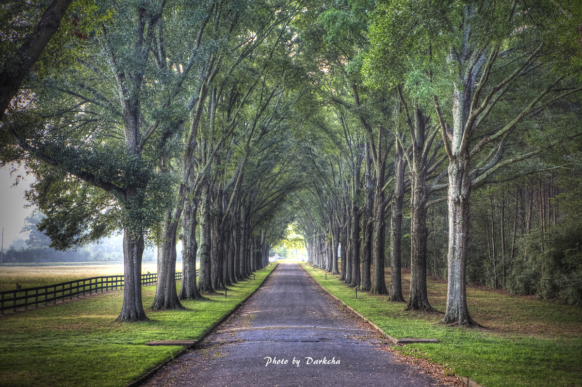 IMG_4315_16_17_18_19_20_tonemapped copy.jpg