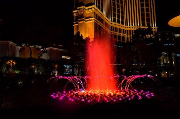 DSC_0715 (1) (1).jpg