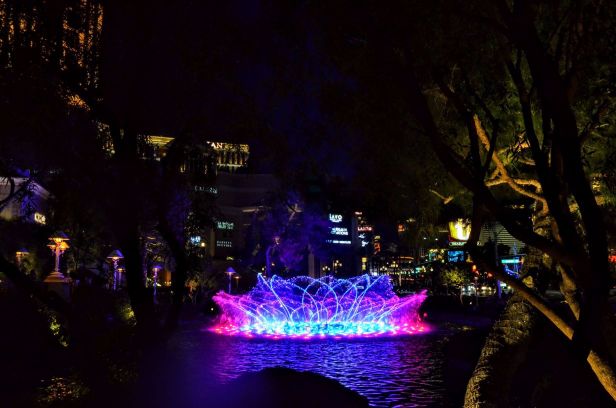 DSC_0698 (1) (1).jpg