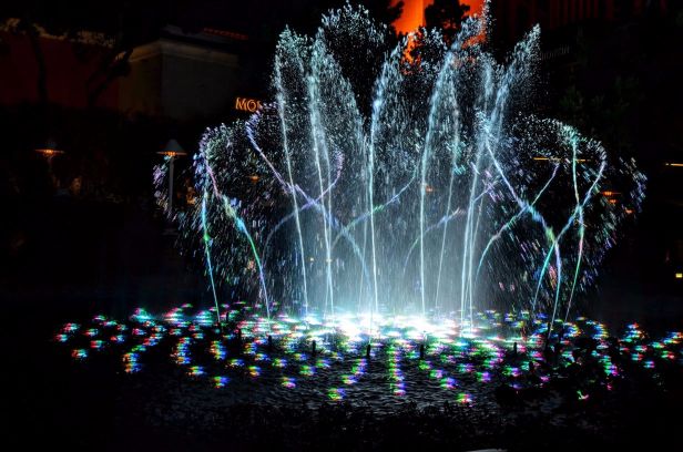 DSC_0709 (1) (1).jpg