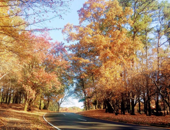 20161127_093303 (2) (1).jpg