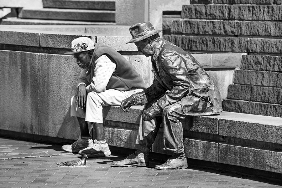 _DSC6249_9255 copy.jpg