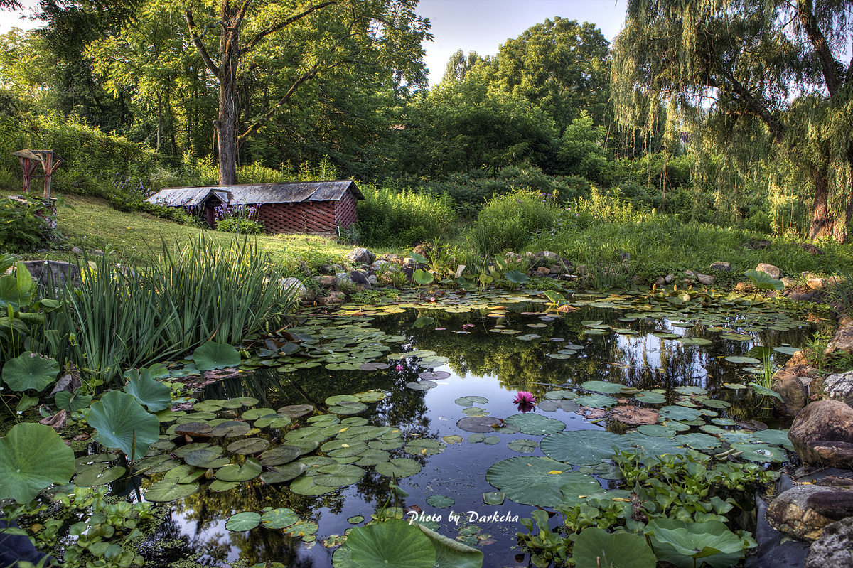 IMG_8779_80_81_82_83_tonemapped copy.jpg