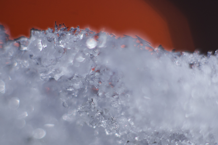 the day snowed-6819.jpg