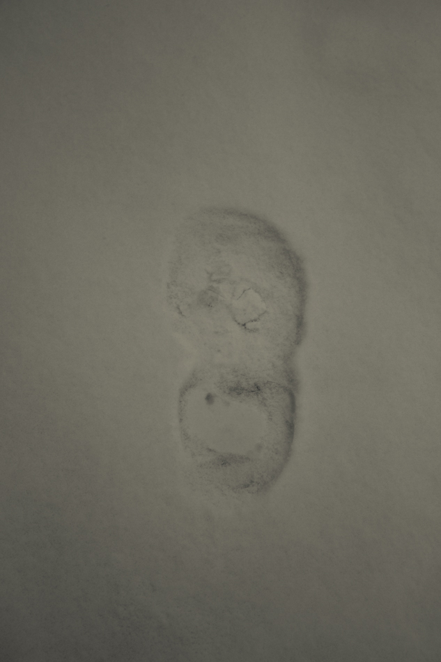 the day snowed-6769.jpg