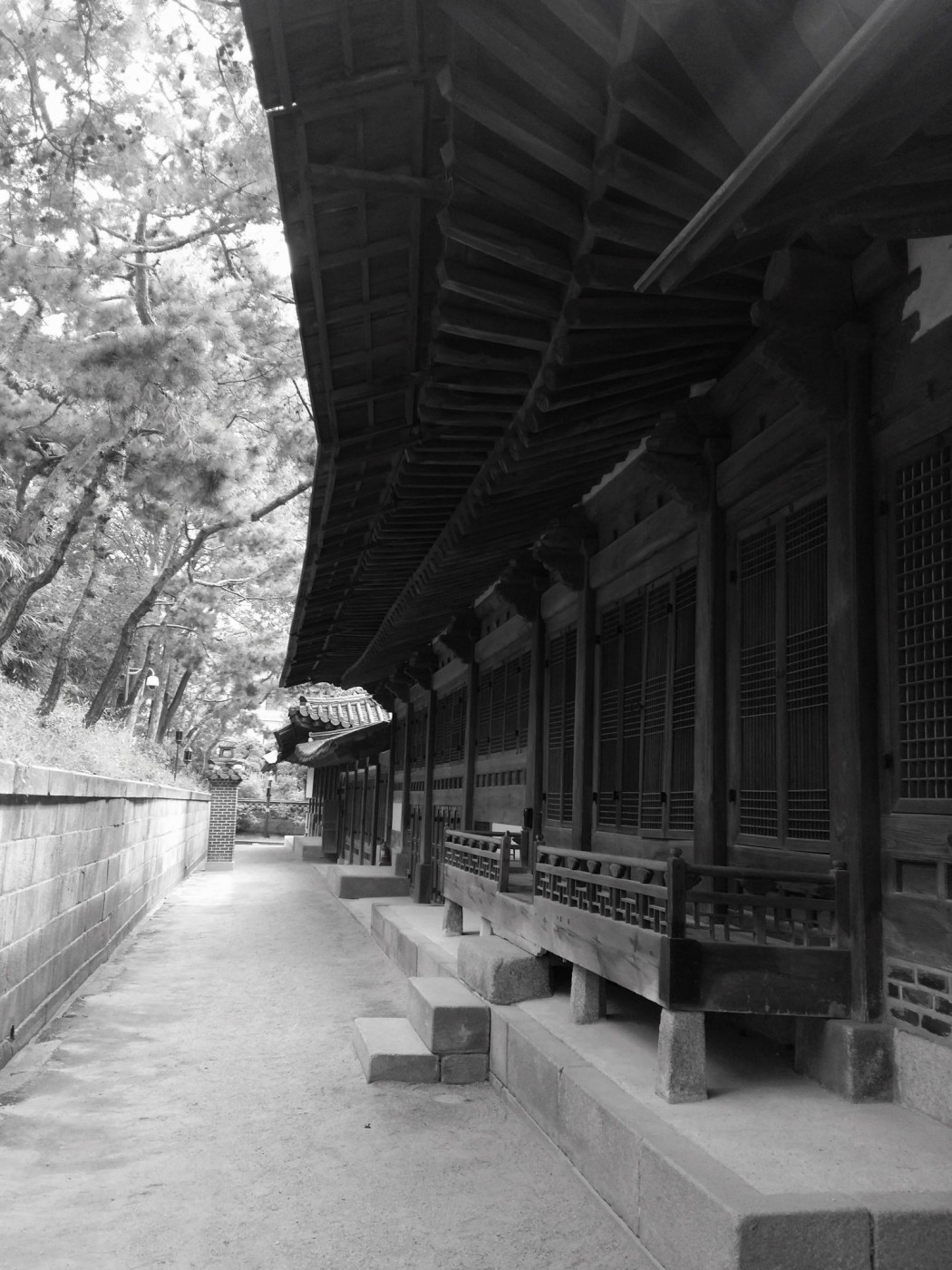 20151004_131901 (1).jpg