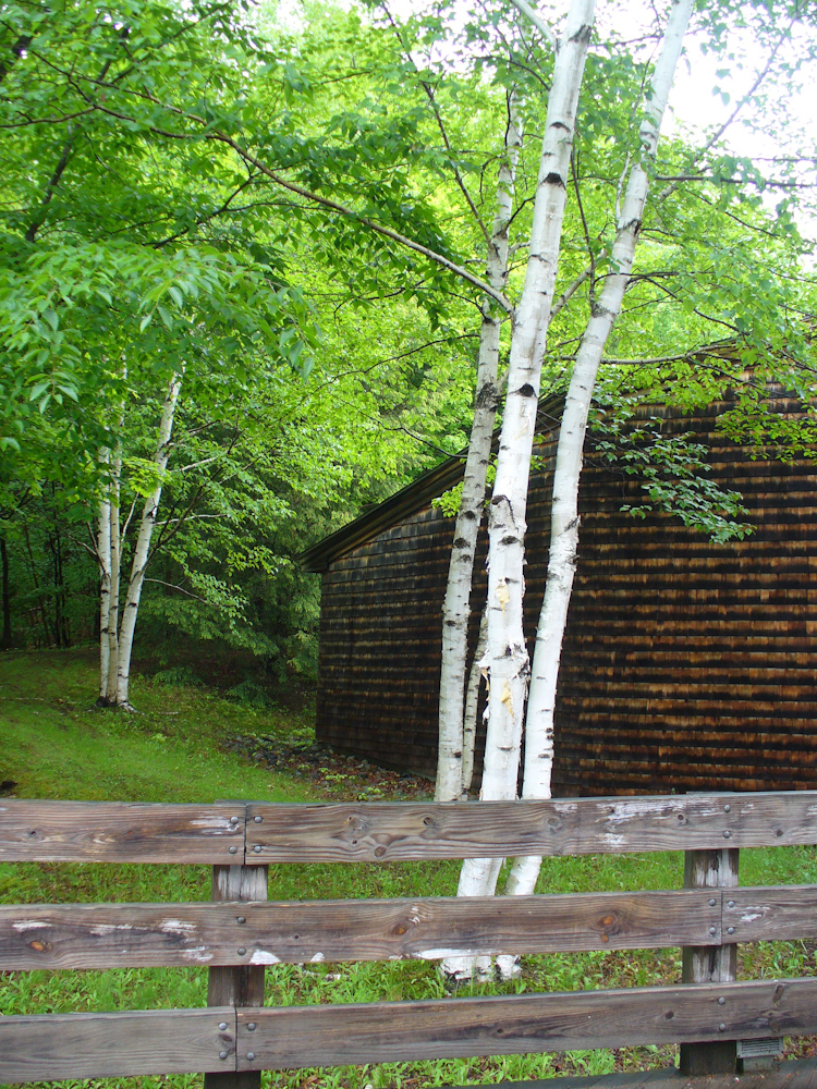 리사진라이브러 022.jpg