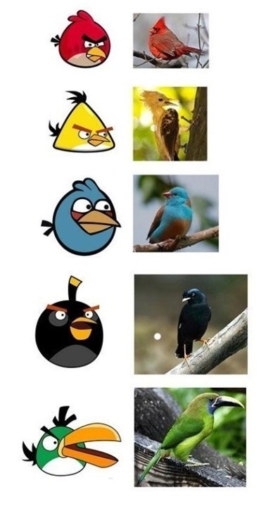 Angrybirds.jpg