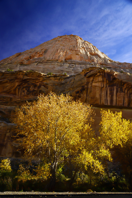 10-27,28-14_2110 copy.jpg