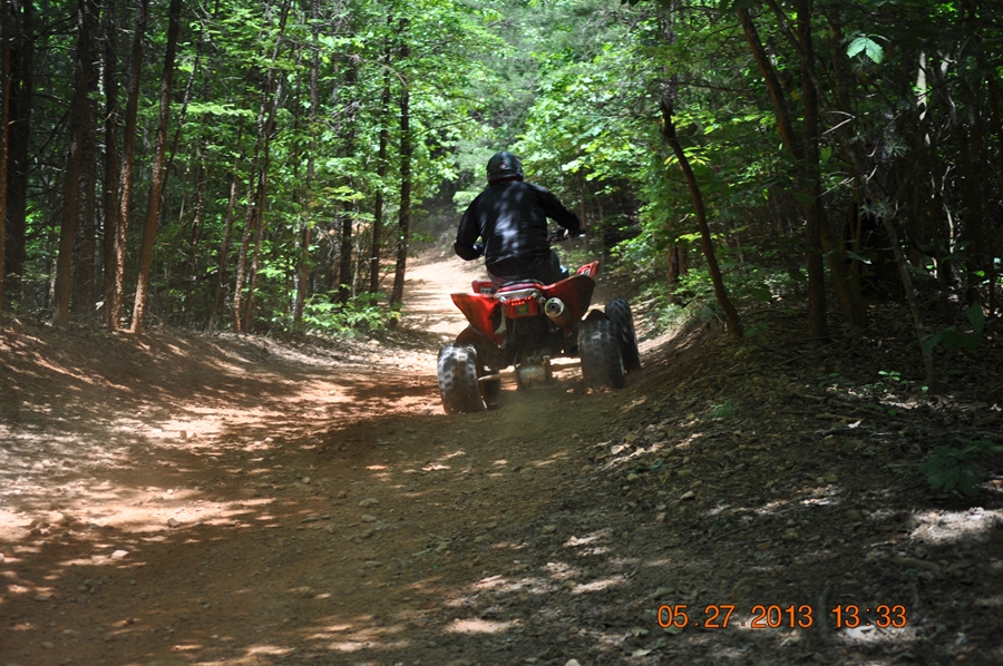 DSC_0060.JPG : 실패작