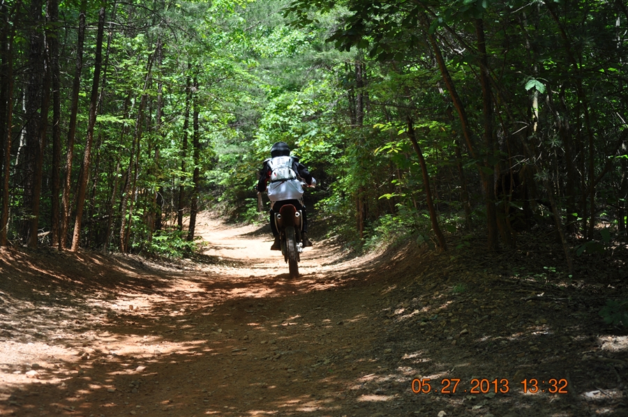 DSC_0054.JPG : 실패작