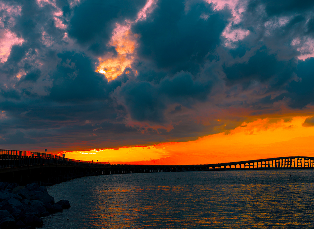 Negs Head-0015679.jpg