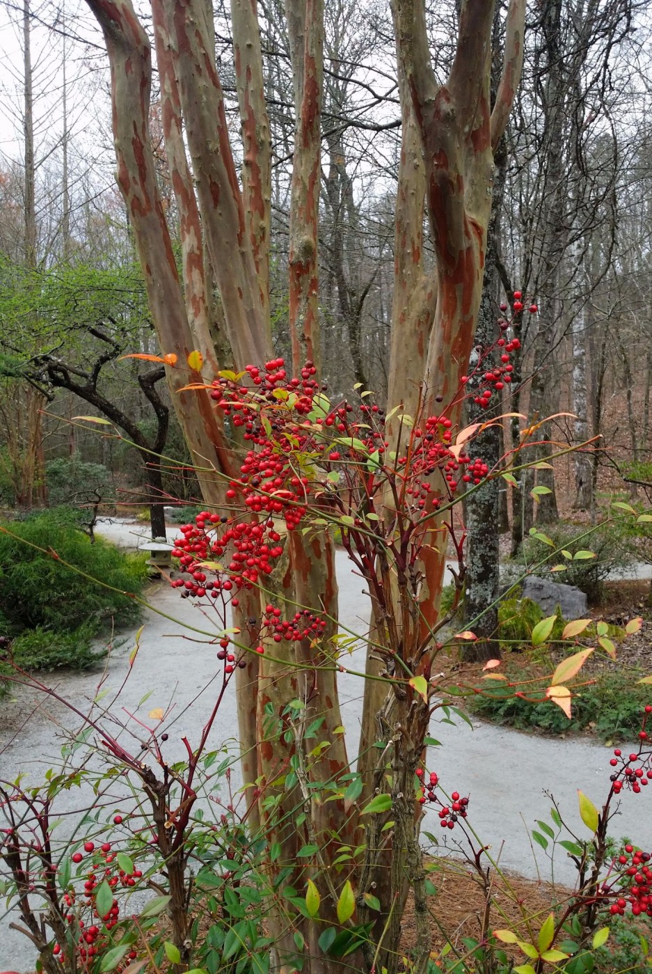 20160319_111514 (1).jpg