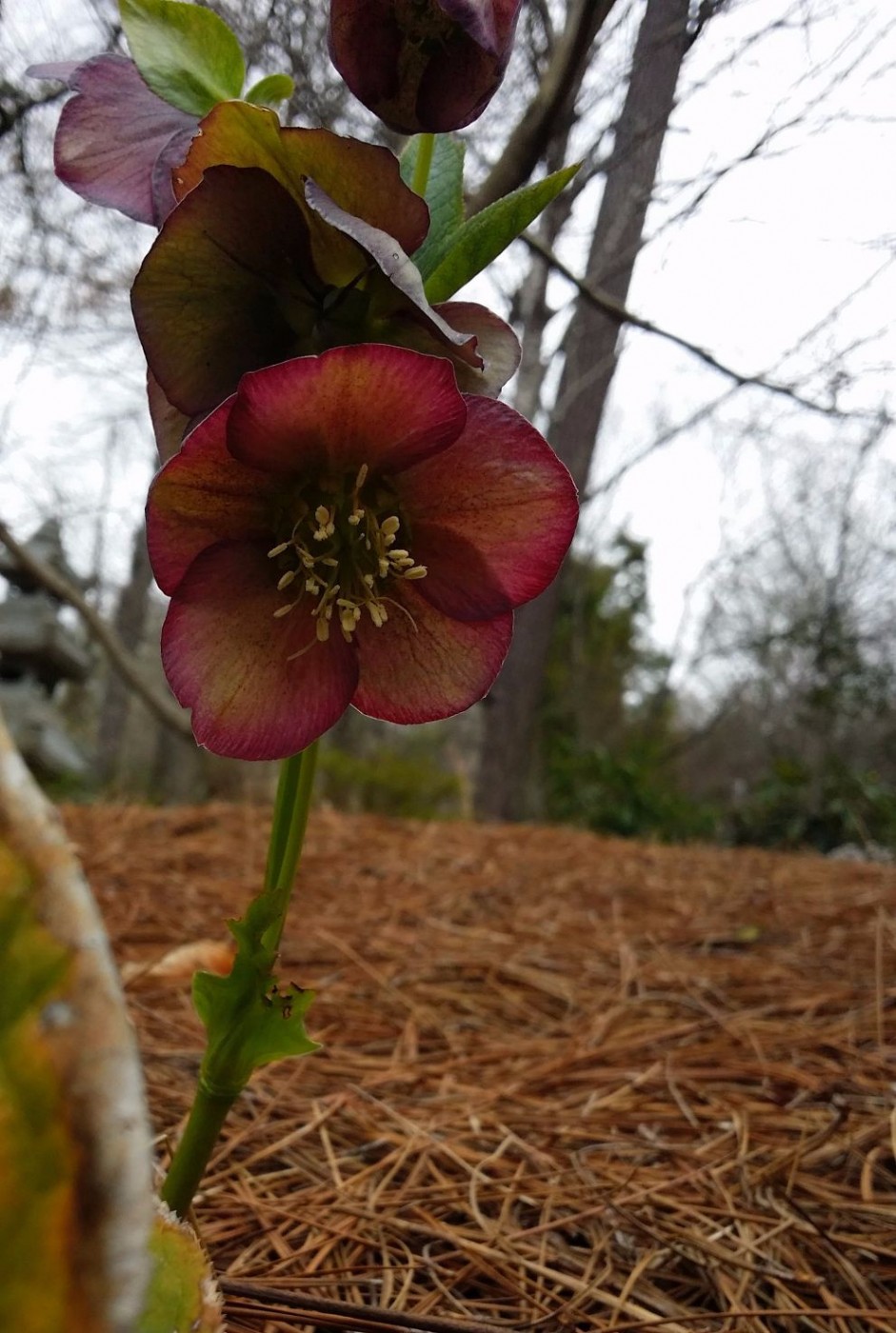 20160319_110517 (1).jpg