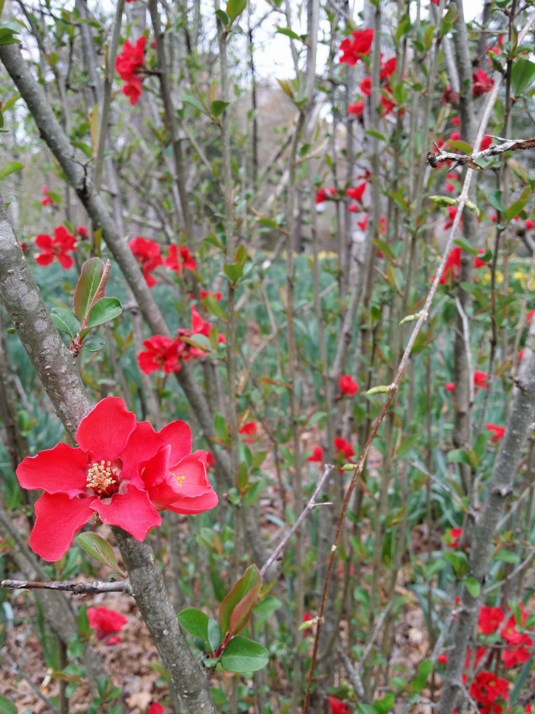 20160319_113331 (1).jpg