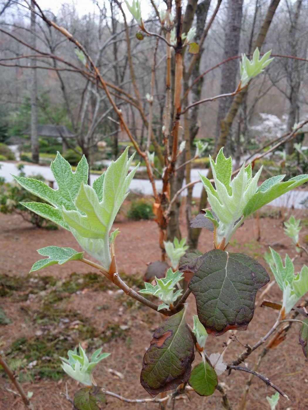 20160319_110608 (1).jpg