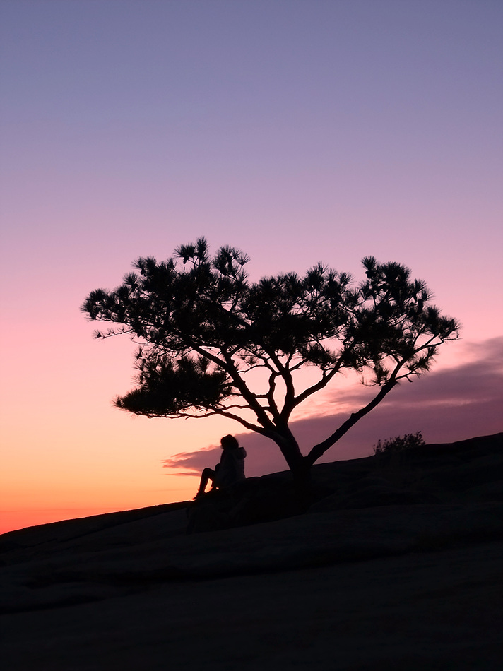 DSCF4469 - Copy1.jpg