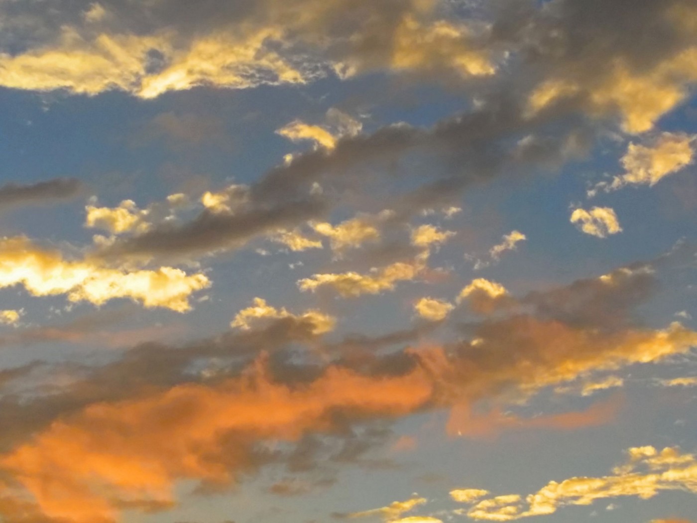 20151217_171720 (2) (1).jpg