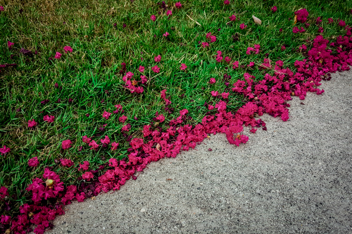 2015-08-01 10.13.50.jpg