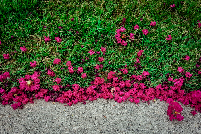 2015-08-01 10.15.22.jpg