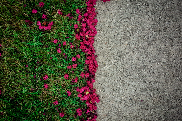 2015-08-01 10.15.30.jpg