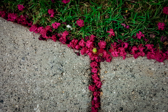 2015-08-01 10.14.22.jpg