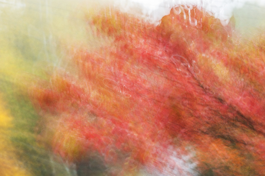 _DSC9504_2406 copy.jpg