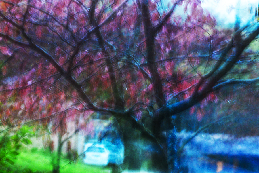 _DSC9544_2446 copy.jpg